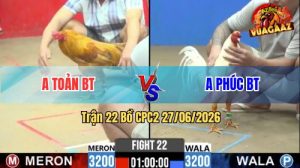 Trận 22 CPC2 27/06/2026 – Gà Úa Anh Phúc Đâm Đau Quá, Đỏ Bỏ Chạy