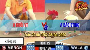 Trận 22 CPC2 28/06/2026 – Anh Bảo Sting Chấp Ngông Bị Anh Khôi Hạ