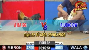 Trận 22 CPC2 29/06/2026 – Gà Bướm Anh Long Đá Khôn Như Người Ta