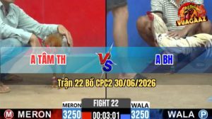 Trận 22 CPC2 30/06/2026 – Gà Xám Anh Tâm Tránh Né Tốt Trả Lại Cây Hiểm