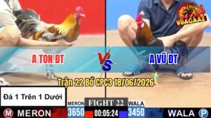 Trận 22 CPC3 18/06/2026 – Anh Vũ Hạ Anh Ton Trong Vòng 3 Nốt Nhạc