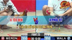 Trận 23 CPC2 03/06/2026 - Gà Anh Tèo Đen Đá Đòn Cựa Quá Hiểm Hóc