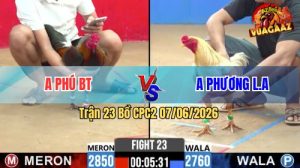 Trận 23 CPC2 07/06/2026 - Gà Úa Anh Phương Đá 2 Chân Đỏ Lật Xe