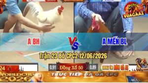 Trận 23 CPC2 12/06/2026 - Anh Kiểm Đưa Cọp Ra Gỡ Lại Quá Hay