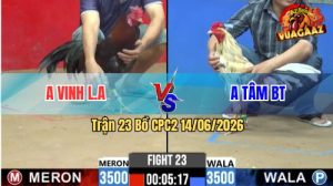 Trận 23 CPC2 14/06/2026 – Anh Tâm BT Không Cho Anh Vinh Cơ Hội