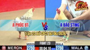 Trận 23 CPC2 16/06/2026 – Anh Phúc Thành Công Hạ Idol Bảo Sting