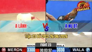 Trận 23 CPC2 26/06/2026 – Gà Bướm Anh Lành Canh Chặn Quá Khôn Khéo