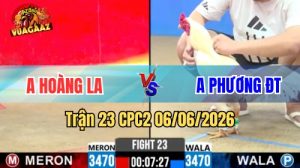 Trận 23 CPC2 Ngày 06/06/2026 Tại Vua Gà AZ
