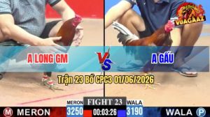Trận 23 CPC3 01/06/2026 - Gà Điều Anh Long Đá Canh Chặn Quá Khôn Khéo