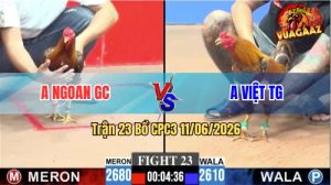 Trận 23 CPC3 11/06/2026 - Anh Ngoan Có Pha Lội Ngược Dòng Ngoạn Mục