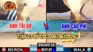 Trận 23 CPC3 Ngày 06/06/2026 Tại Vua Gà AZ