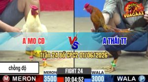 Trận 24 CPC2 01/06/2026 - Anh Thái Chấp Anh Mo Tới 5 Chấm Vẫn Lụm