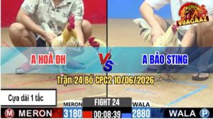 Trận 24 CPC2 10/06/2026 - Anh Bảo Sting Chấp Sâu Bị Anh Hoà Làm Thịt