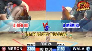 Trận 24 CPC2 11/06/2026 - Anh Tiền BD Chưa Thả Gà Đã Bị Dí Ăn 5