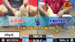 Trận 24 CPC2 15/06/2026 – Gà Anh Nguyên Nạp 1 Cựa, Đỏ Cứng Hết Mình