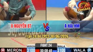 Trận 24 CPC2 30/06/2026 – Gà Anh Hai HM Cứ Nhấc Chân Là Dính Cựa