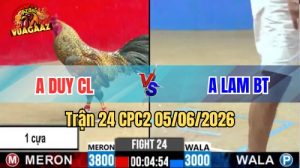 Trận 24 CPC2 Ngày 05/06/2026 Tại Vua Gà AZ