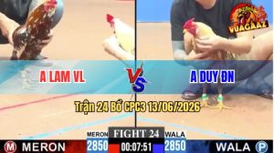 Trận 24 CPC3 13/06/2026 - Gà Anh Lam Đá Mấy Chân Xanh Lật Xe