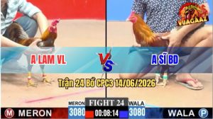 Trận 24 CPC3 14/06/2026 – Gà Anh Sĩ BD Đâm Ngay Giò Ăn Nhanh Chóng