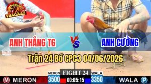 Trận 24 CPC3 Ngày 04/06/2026 Tại Vua Gà AZ