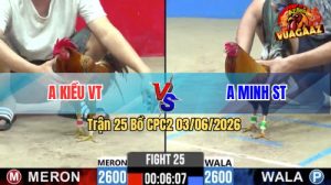 Trận 25 CPC2 03/06/2026 - Gà Vàng Anh Kiều Đá Bươi Chà Như Cái Máy