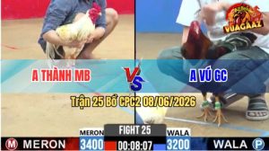 Trận 25 CPC2 08/06/2026 - Gà Anh Vú Đá Siết Đúng 1 Hơi Lụm Tiền