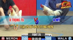 Trận 25 CPC2 17/06/2026 – Gà Bướm Anh Mỹ Đá Đâm Như Đời Tới