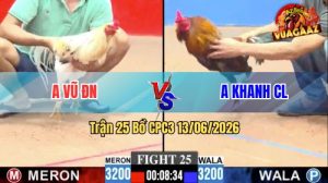 Trận 25 CPC3 13/06/2026 - Gà Bướm Anh Vũ Đá Đâm Như Sát Thủ