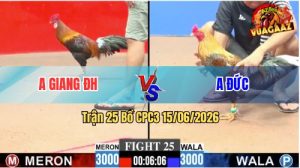 Trận 25 CPC3 15/06/2026 – Gà Cú Anh Đức Canh Chụp 1 Cây Ngay Lưng