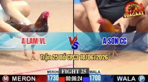 Trận 25 CPC3 18/06/2026 – Gà Anh Sơn Đá Toàn Canh Nạp Đầu Cần