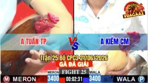 Trận 25 CPC3 21/06/2026 – Gà Bướm Idol Kiểm Cà Mau Đâm Cựa Quá Tịch