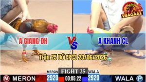 Trận 25 CPC3 23/06/2026 – Gà Chuối Anh Khanh Tiễn Anh Giang Về Nước