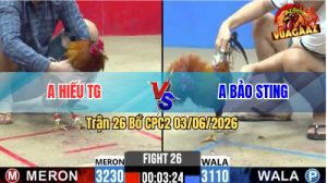 Trận 26 CPC2 03/06/2026 - Gà Anh Bảo Sting Đá Đâm Như Đời Tới