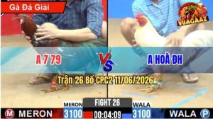 Trận 26 CPC2 11/06/2026 - Gà Úa Anh Hoàng Đá Cựa Dính Như Keo