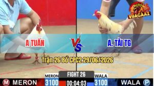 Trận 26 CPC2 29/06/2026 – Idol Kiểm Cà Mau Thể Hiện Tài Nghệ Nài Gà