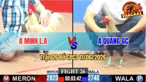 Trận 26 CPC3 11/06/2026 - Gà Anh Minh Long An Đá Cựa Quá Hiểm
