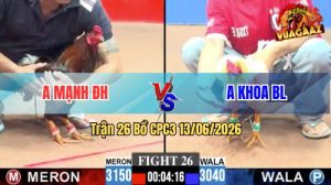 Trận 26 CPC3 13/06/2026 - Gà úa Anh Khoa Đá Đòn Như Lấy Cây Đập