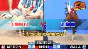 Trận 26 CPC3 18/06/2026 – Gà Bướm Má Minh Bươi Chà Dồn Dập