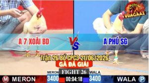 Trận 26 CPC3 21/06/2026 – Gà Úa Anh Bảy Xoài Đá Cái Bo Như Xe Đụng