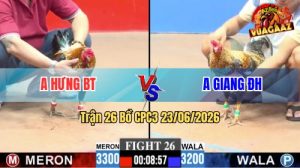 Trận 26 CPC3 23/06/2026 – Gà Cú Anh Giang Đâm Cựa Dính Như Keo