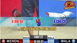 Trận 27 CPC2 01/06/2026 - Gà Bướm Anh Cào Cỏ Bươi Bà Quá Ác