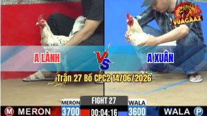 Trận 27 CPC2 14/06/2026 – Gà Anh Lành Đá Đòn Cựa Quá Tịch