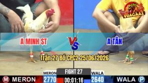 Trận 27 CPC2 25/06/2026 – Gà Bướm Anh Minh ST Đá Đúng 1 Cây Hiểm