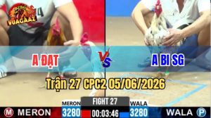 Trận 27 CPC2 Ngày 05/06/2026 Tại Vua Gà AZ