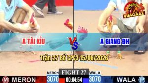 Trận 27 CPC3 15/06/2026 – Anh Giang Đức Hoà Thắng Trong 1 Tay Nước