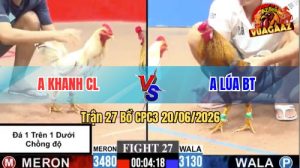 Trận 27 CPC3 20/06/2026 – Gà Úa Anh Lúa Cứ Nhấc Chân Là Dính Cựa