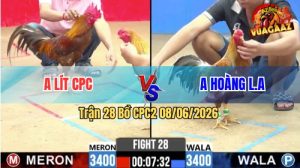 Trận 28 CPC2 08/06/2026 - Gà Khét Anh Lít Đá Cựa Đâm Như Sát Thủ