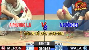 Trận 28 CPC2 11/06/2026 - Gà Anh Phương Quá Trâu Gồng Tới Phút 90