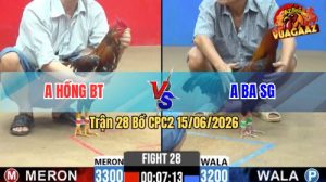 Trận 28 CPC2 15/06/2026 – Anh Ba Sài Gòn Ăn Gọn Trong 3 Chân Cựa