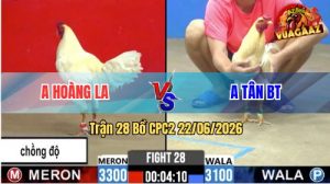 Trận 28 CPC2 22/06/2026 – Anh Tân Bến Tre Đá Phản Kèo Ăn 2 Đẳng Cấp